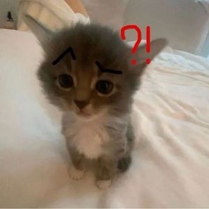 Meet your Posher, Omar